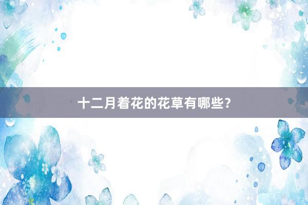 十二月着花的花草有哪些？